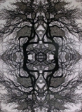 Mandlebrot, Hand-cut Digital Print, 2010, 841x594mm