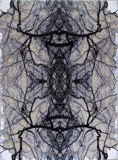 Synapse I, Hand-cut Digital Print, 2010, 677x507mm, 