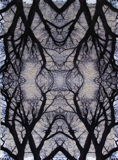 Synapse II, Hand-cut Digital Print, 2010, 677x507mm