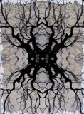 Synapse III, Hand-cut Digital Print, 2010, 677x507mm