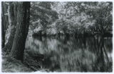 'Silence, River' Silver Gelatin Print 2010