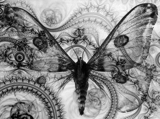 Specimen 1: Myspace moth Digital collage