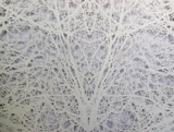 Dendritic Growth I, Hand-cut Paper, 2011