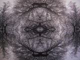Orb I, Hand-cut Layered Digital Prints, 2011