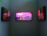 Alien Landscape Triptych, 2010, Photographs - Instillation view