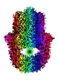 Hamsa Rainbow, Computer Art