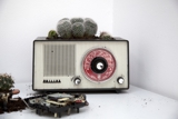 Cacti Radio
