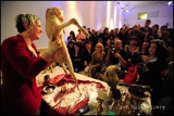 D.I.Y Taxidermy LIVE performance &demonstration-Future Gallery, Leicester Square