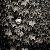 The Boy in the Ivy